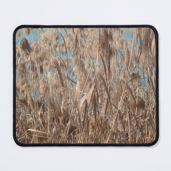 Item preview, Golden Reed Grass by Turquoise Lake designed and sold by onubi.