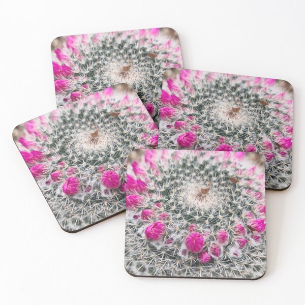 Item preview, Pink flowering pincushion cactus macro bloom designed and sold by Kainicram.
