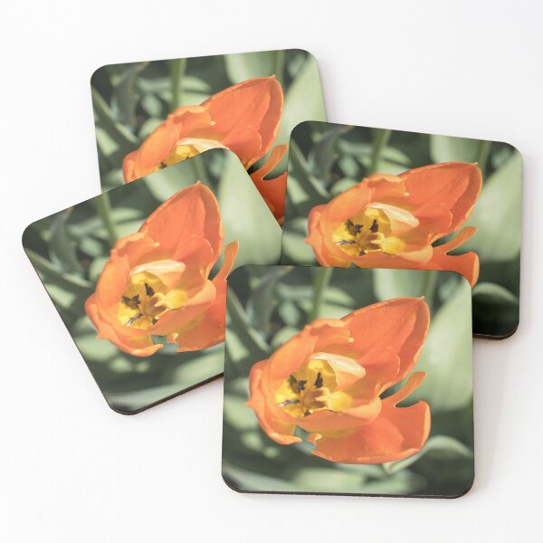 Item preview, Unique Orange Tulip Bloom with Notched Petals designed and sold by Georgia Mizuleva.