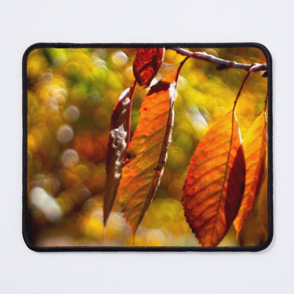 Item preview, Autumn Leaves with Dreamy Golden Bokeh designed and sold by onubi.