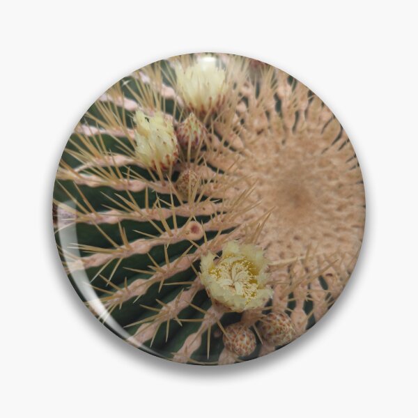 Item preview, Golden barrel cactus yellow macro bloom designed and sold by Kainicram.