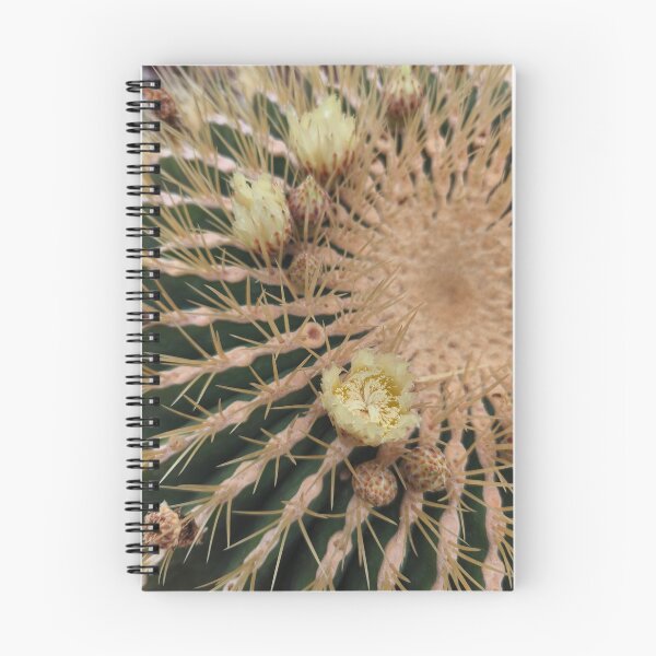 Item preview, Golden barrel cactus yellow macro bloom designed and sold by Kainicram.