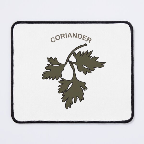 Item preview, Coriander leaves hand drawn illustration.For stickers on seasoning containers designed and sold by TaniaArtDesign.