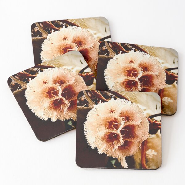 Item preview, Photograph Australian Seed Pod designed and sold by Cityflower.