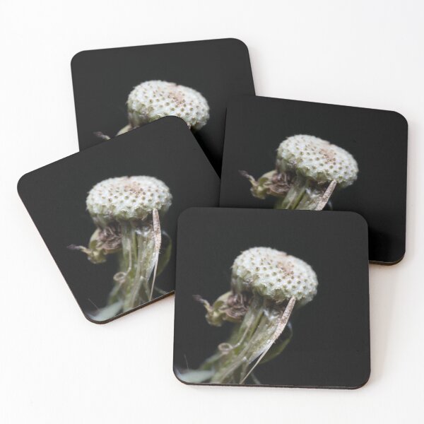 Item preview, Beautiful white dandelion clock dark background macro designed and sold by TanalyFlowers.
