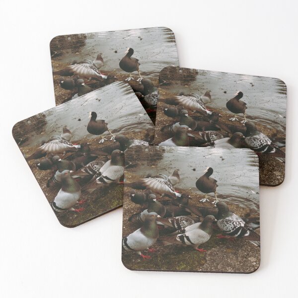 Item preview, Victoria Park Pigeon Brawl of April 2026 (Glasgow, Scotland) designed and sold by photosbykel.