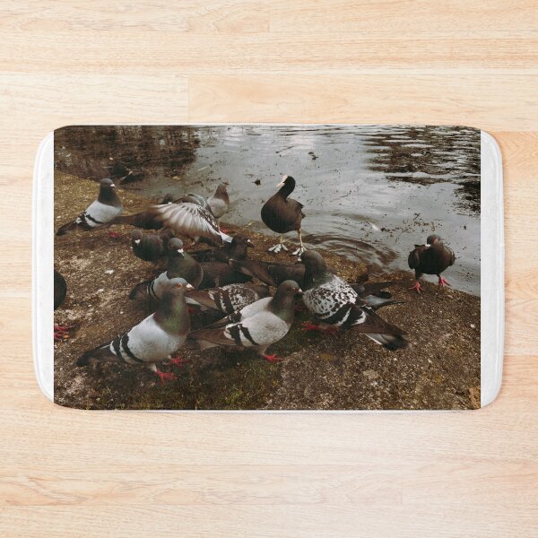 Item preview, Victoria Park Pigeon Brawl of April 2026 (Glasgow, Scotland) designed and sold by photosbykel.