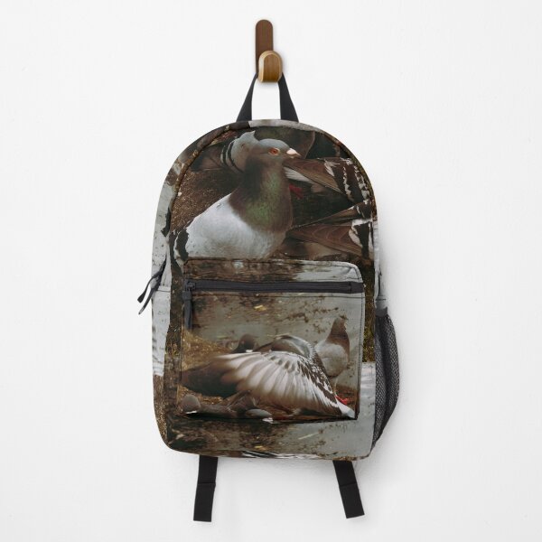 Item preview, Victoria Park Pigeon Brawl of April 2026 (Glasgow, Scotland) designed and sold by photosbykel.