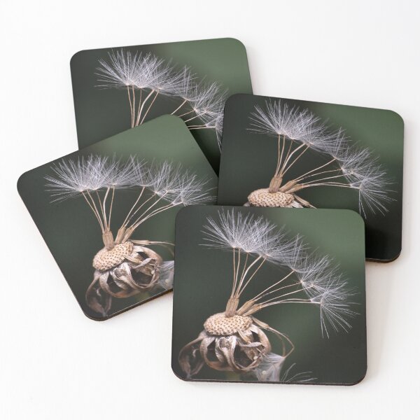 Item preview, Beautiful white dandelion clock dark background macro designed and sold by TanalyFlowers.