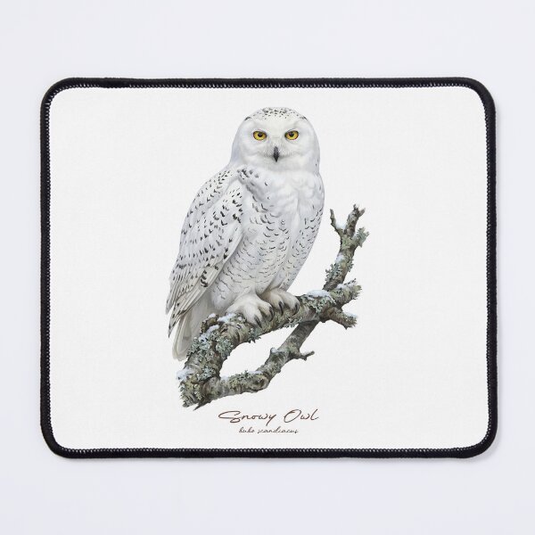 Item preview, Snowy Owl on Snowy Branch designed and sold by Takeda-art.