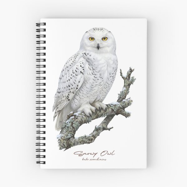 Item preview, Snowy Owl on Snowy Branch designed and sold by Takeda-art.