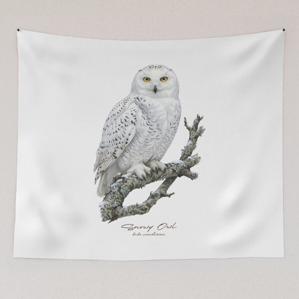 Item preview, Snowy Owl on Snowy Branch designed and sold by Takeda-art.