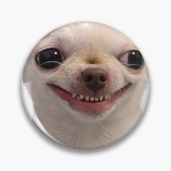 Item preview, White Chihuahua Fake Smile Forced Grin Grumpy Dog Art designed and sold by Mustangana.