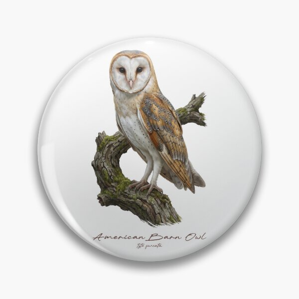 Item preview, American Barn Owl on Mossy Branch designed and sold by Takeda-art.