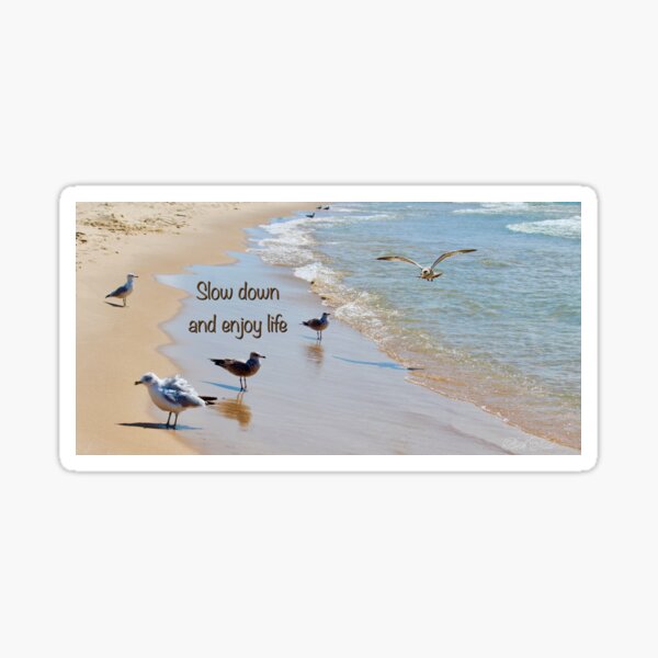 Item preview, Slow down and enjoy life designed and sold by Beth Tidd.