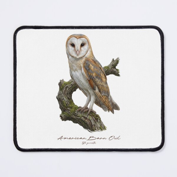 Item preview, American Barn Owl on Mossy Branch designed and sold by Takeda-art.