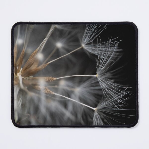 Item preview, Beautiful white blooming dandelion dark background macro designed and sold by TanalyFlowers.