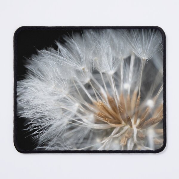 Item preview, Beautiful white blooming dandelion dark background macro designed and sold by TanalyFlowers.