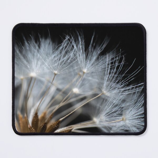 Item preview, Beautiful white blooming dandelion dark background macro designed and sold by TanalyFlowers.