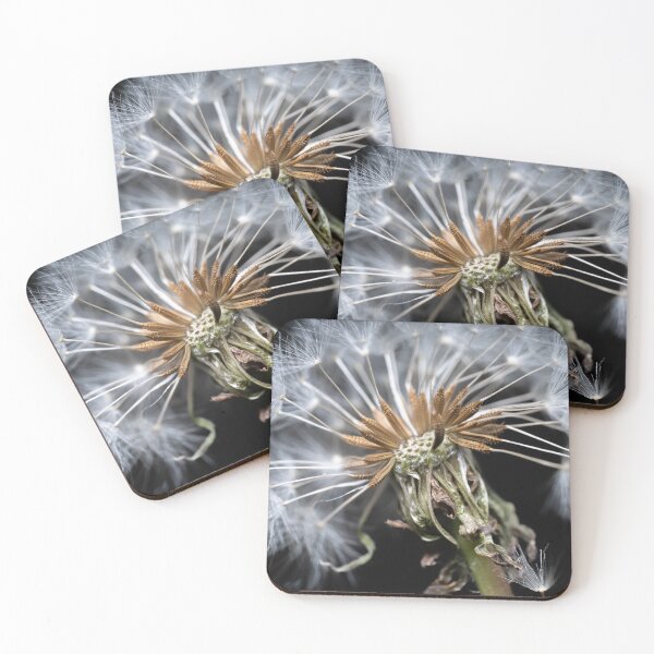 Item preview, Creative white blooming dandelion dark background macro designed and sold by TanalyFlowers.