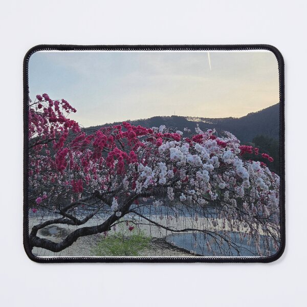 Item preview, Japanese Cherry Blossom designed and sold by Dynasticnow.