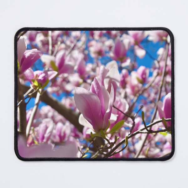 Item preview, Cherry Blossom designed and sold by morgan1098765.