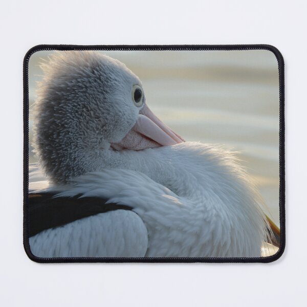 Item preview, Watchful Pelican designed and sold by photosbymia.