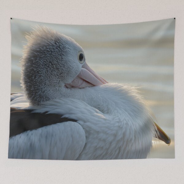 Item preview, Watchful Pelican designed and sold by photosbymia.