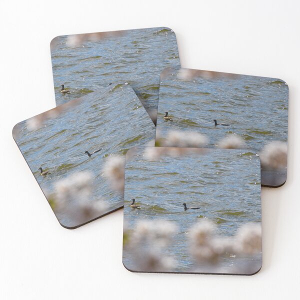 Item preview, Ducks in the Pond designed and sold by morgan1098765.
