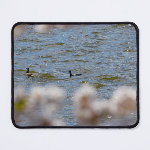 Item preview, Ducks in the Pond designed and sold by morgan1098765.