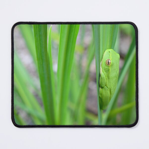 Item preview, Greenery Frog designed and sold by photosbymia.