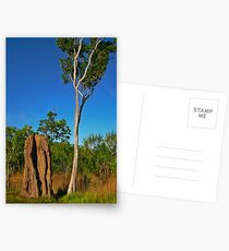 clear times at kakadu Postcards
