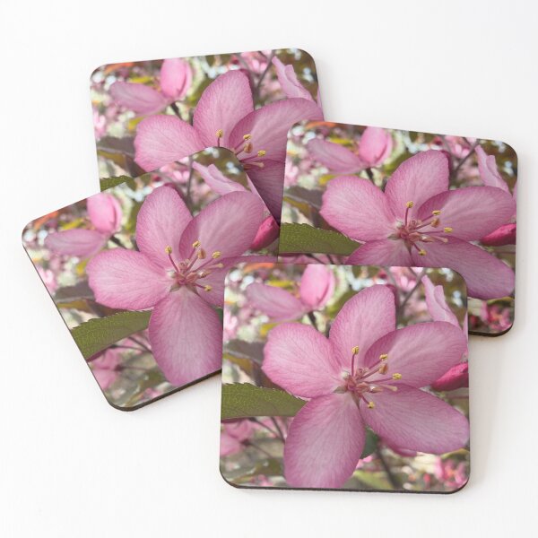 Item preview, Vibrant Crabapple Blossoms designed and sold by Betsy Phillips.