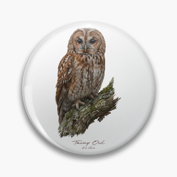 Item preview, Tawny Owl on Mossy Branch designed and sold by Takeda-art.