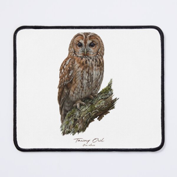 Item preview, Tawny Owl on Mossy Branch designed and sold by Takeda-art.