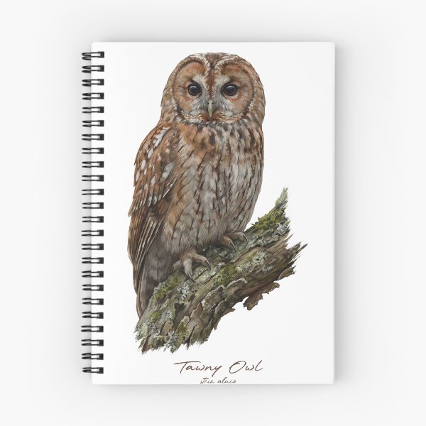 Item preview, Tawny Owl on Mossy Branch designed and sold by Takeda-art.