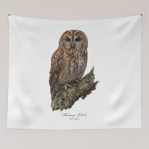 Item preview, Tawny Owl on Mossy Branch designed and sold by Takeda-art.