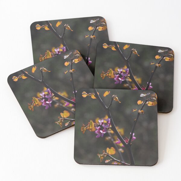 Item preview, Pink Blossoms on Dark Branches in Spring Light designed and sold by onubi.