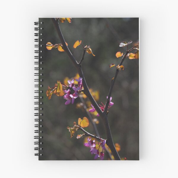 Item preview, Pink Blossoms on Dark Branches in Spring Light designed and sold by onubi.