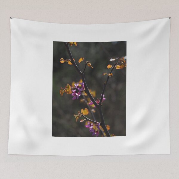 Item preview, Pink Blossoms on Dark Branches in Spring Light designed and sold by onubi.