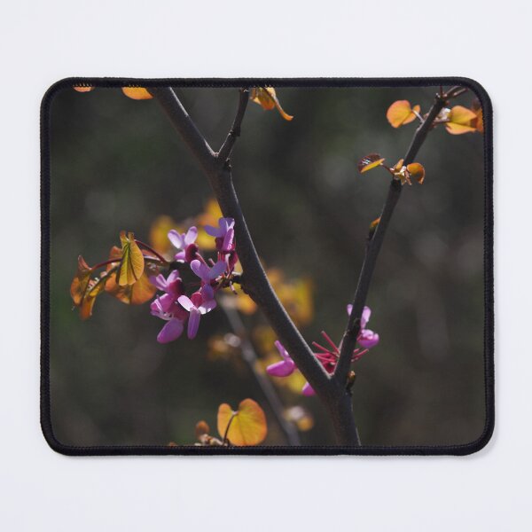 Item preview, Pink Blossoms on Dark Branches in Spring Light designed and sold by onubi.