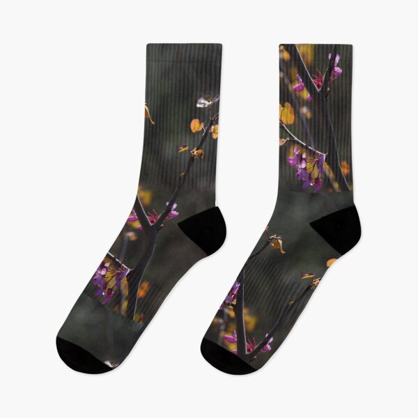 Item preview, Pink Blossoms on Dark Branches in Spring Light designed and sold by onubi.