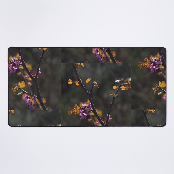 Item preview, Pink Blossoms on Dark Branches in Spring Light designed and sold by onubi.