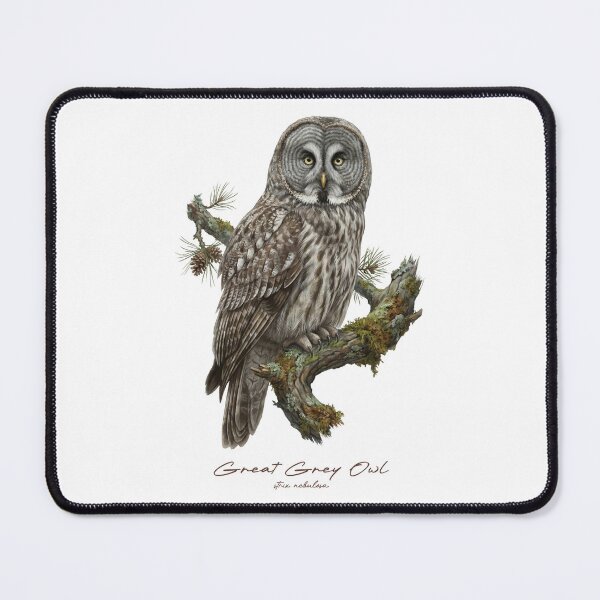 Item preview, Great Grey Owl on Mossy Pine Tree designed and sold by Takeda-art.