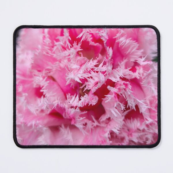 Item preview, Pink ringed tulip macro flower bloom designed and sold by Kainicram.
