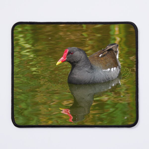 Item preview, Moorhen colours designed and sold by Ralph Goldsmith.