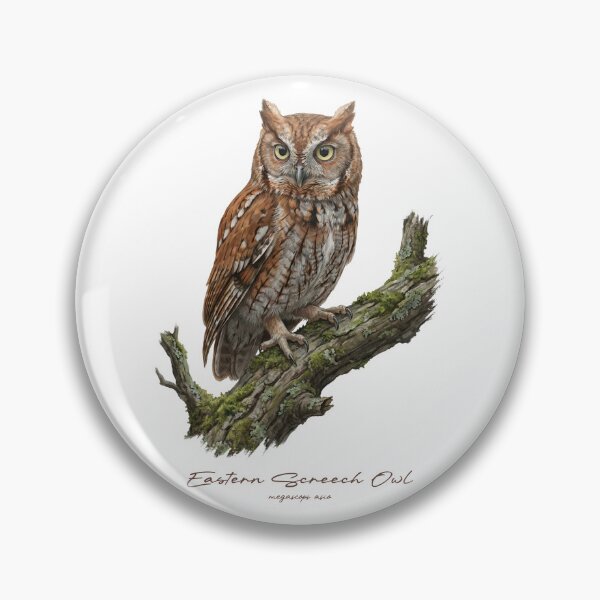 Item preview, Eastern Screech Owl on Mossy Branch designed and sold by Takeda-art.