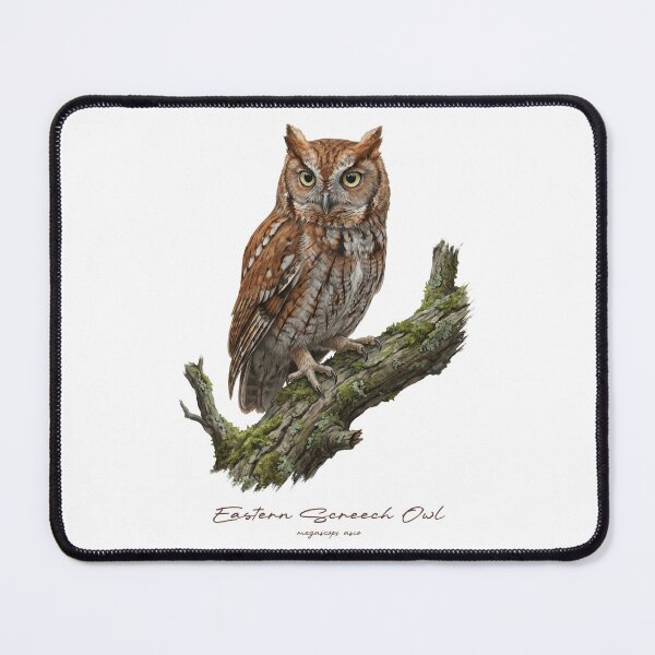 Item preview, Eastern Screech Owl on Mossy Branch designed and sold by Takeda-art.
