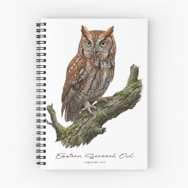 Item preview, Eastern Screech Owl on Mossy Branch designed and sold by Takeda-art.