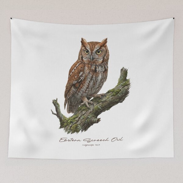Item preview, Eastern Screech Owl on Mossy Branch designed and sold by Takeda-art.